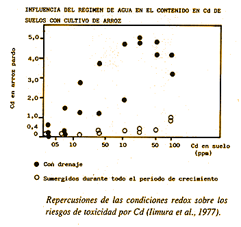 IMPACTO AMBIENTAL CONTAMINACION ACIDO impacto ambiental contaminacion acido: