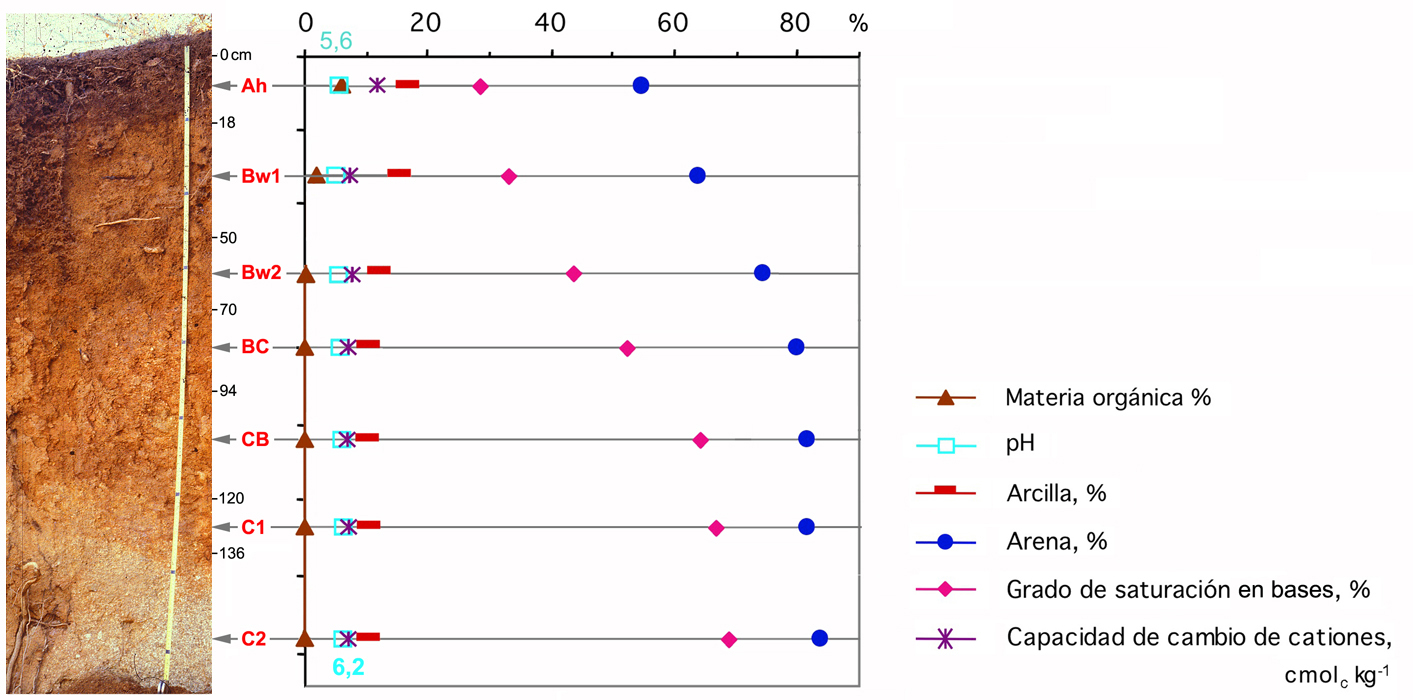 datos