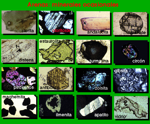 en lugar interior Sofisticado EDAFOLOGIA. Lección 2. Especies mineralógicas en el suelo.