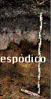 foto hor espodico