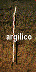 foto hor argilico
